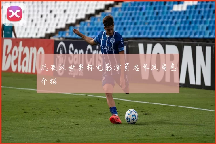 流浪汉世界杯电影演员名单及角色介绍
