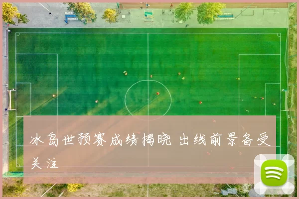 冰岛世预赛成绩揭晓 出线前景备受关注