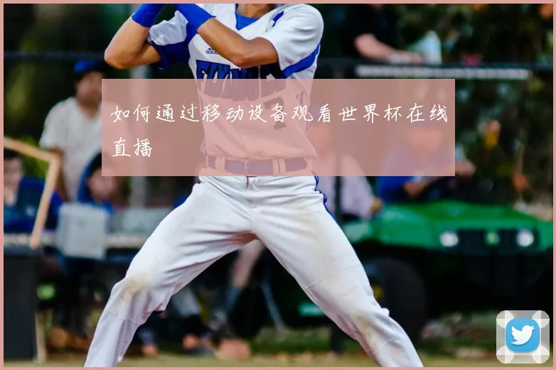 如何通过移动设备观看世界杯在线直播