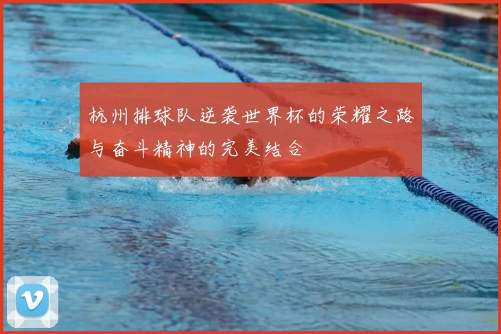 杭州排球队逆袭世界杯的荣耀之路与奋斗精神的完美结合