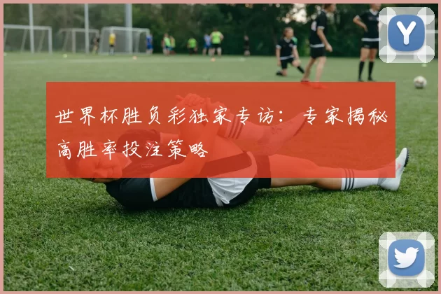 世界杯胜负彩独家专访：专家揭秘高胜率投注策略