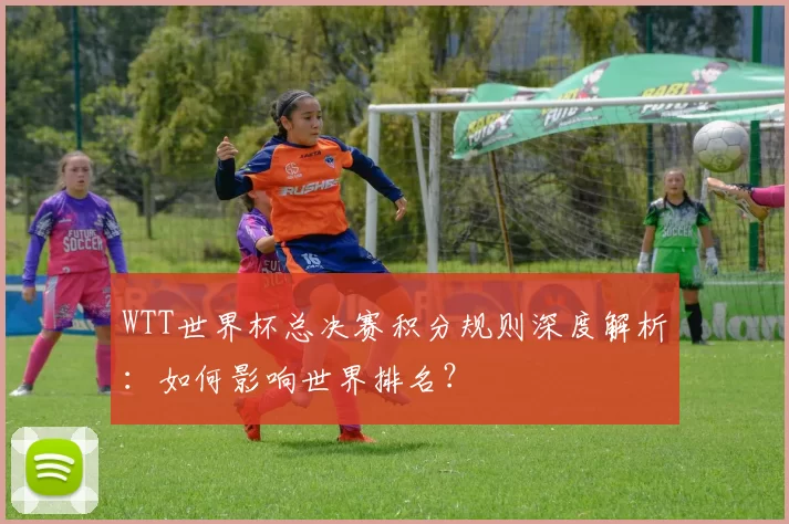 WTT世界杯总决赛积分规则深度解析：如何影响世界排名？