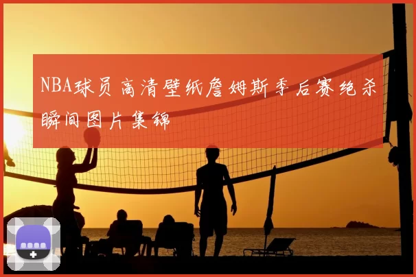 NBA球员高清壁纸詹姆斯季后赛绝杀瞬间图片集锦