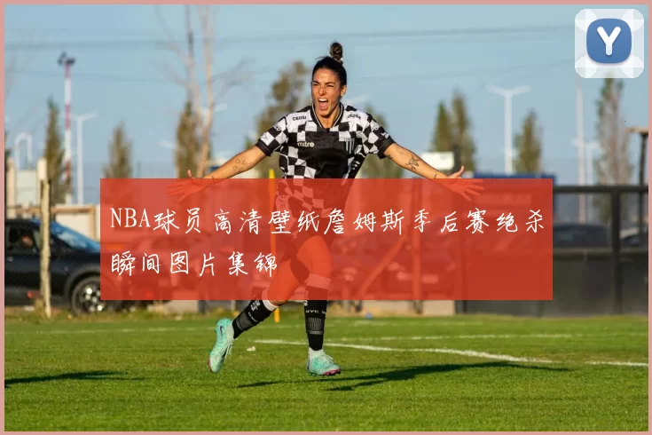 NBA球员高清壁纸詹姆斯季后赛绝杀瞬间图片集锦