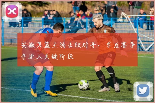 安徽男篮主场击败对手，季后赛争夺进入关键阶段