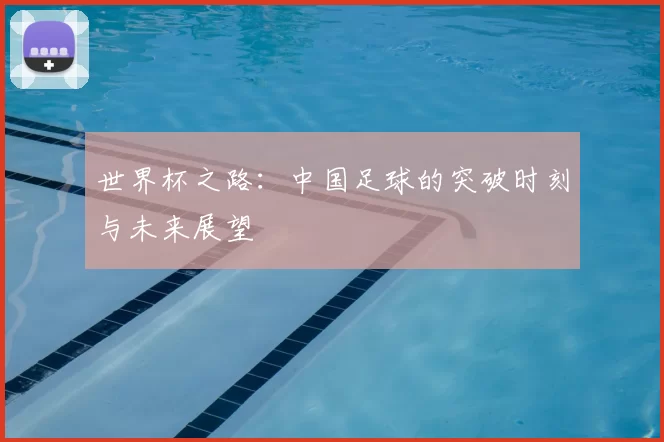 世界杯之路：中国足球的突破时刻与未来展望