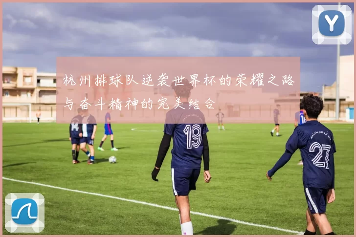 杭州排球队逆袭世界杯的荣耀之路与奋斗精神的完美结合